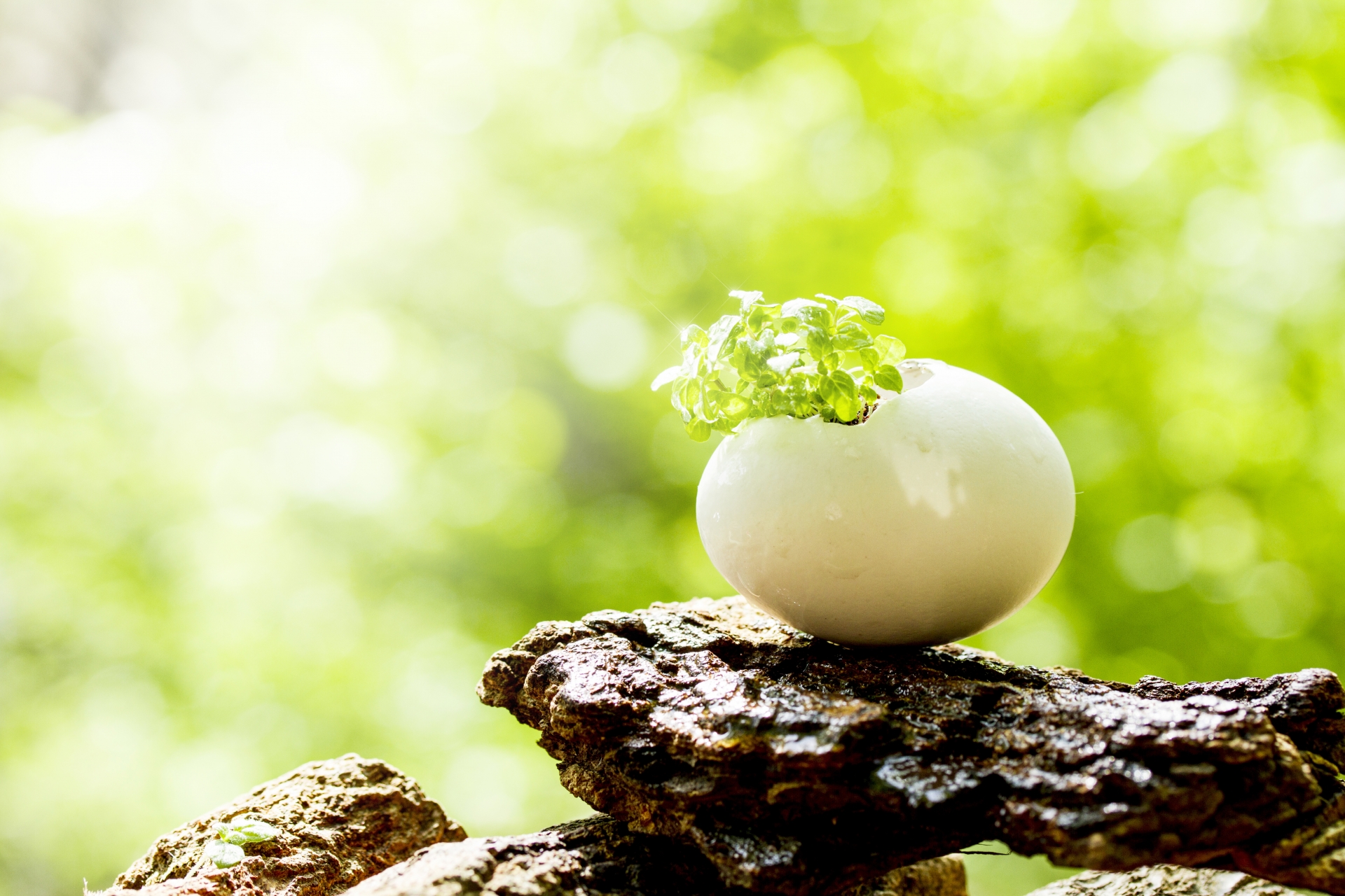 富山県南砺市の家庭系・事業系の一般廃棄物収集運搬なら有限会社石田興業にお任せください。